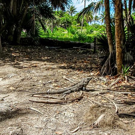 Miraluna 233 At Luum Zama Tulum Dış mekan fotoğraf